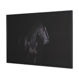Majestic Midnight by Rehpoehler Framed Photo Print Matted under Glass by Mercana at Eve Furniture
