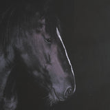 Majestic Midnight by Rehpoehler Framed Photo Print Matted under Glass by Mercana at Eve Furniture