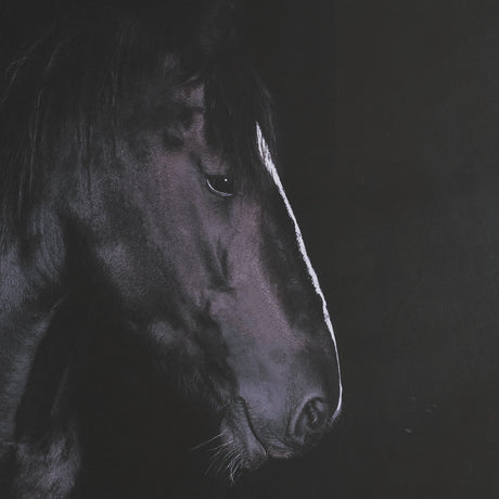 Majestic Midnight by Rehpoehler Framed Photo Print Matted under Glass by Mercana at Eve Furniture