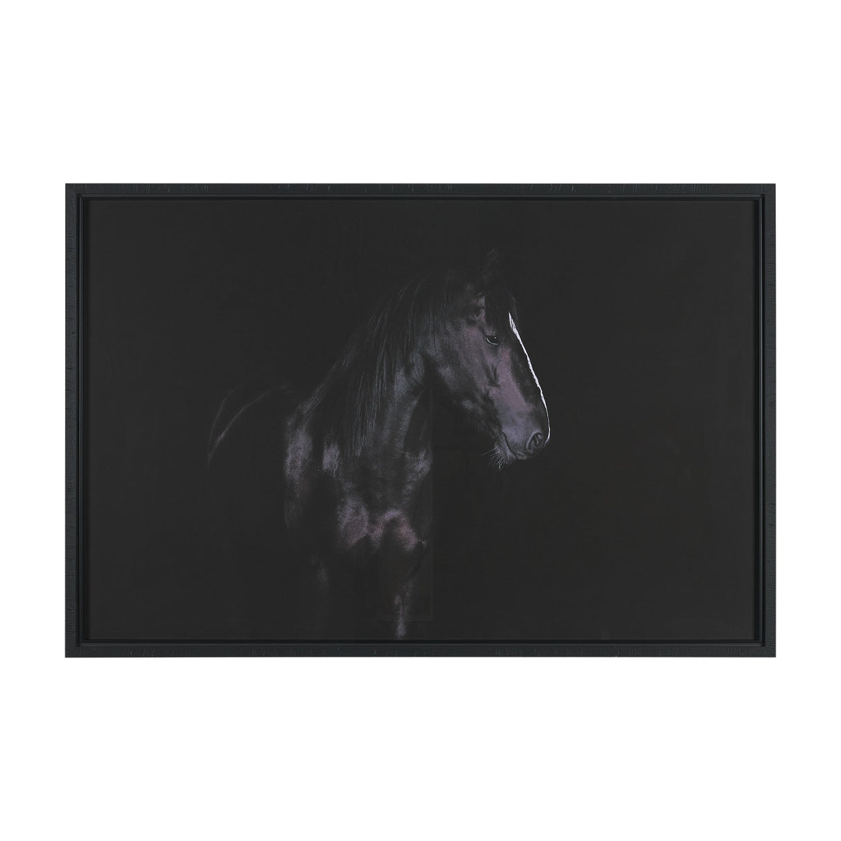Majestic Midnight by Rehpoehler Framed Photo Print Matted under Glass by Mercana at Eve Furniture