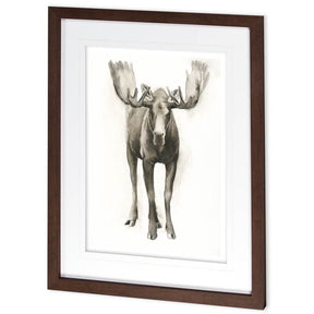 Majestic Wildlife I by Grace Popp a Framed Art Print Matted under Glass by Mercana at Eve Furniture