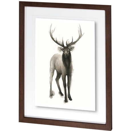 Majestic Wildlife II by Grace Popp a Framed Art Print Matted under Glass by Mercana at Eve Furniture