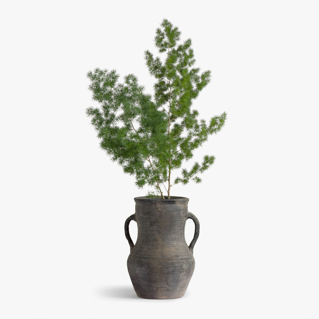 Malibu Vase by Co.House Designs at Eve Furniture