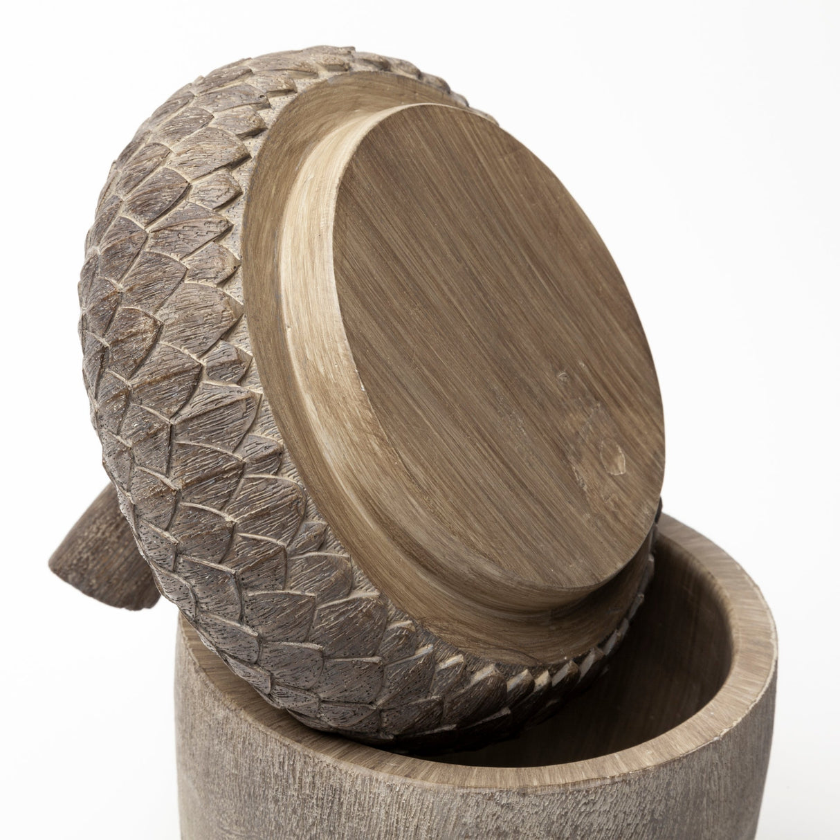 Mandor I (Small) Brown Resin Acorn Box by Mercana at Eve Furniture