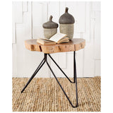Mandor I (Small) Brown Resin Acorn Box by Mercana at Eve Furniture