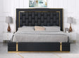 Marbella Black/Gold Queen Storage Platform Bed by New Era Innovations at Eve Furniture