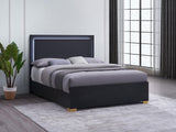 Marceline Black Eastern King Bed with LED Headboard by Coaster at Eve Furniture
