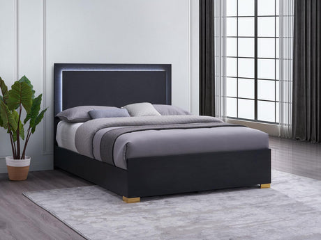 Marceline Black Queen Bed with LED Headboard by Coaster at Eve Furniture