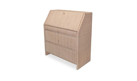 Margot Secretary Desk by Moe's Home at Eve Furniture