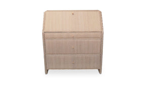 Margot Secretary Desk by Moe's Home at Eve Furniture