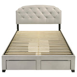 Marianna Cream 4-Drawer Upholstered Eastern King Storage Bed by Coaster at Eve Furniture
