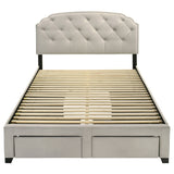 Marianna Cream 4-drawer Upholstered Queen Storage Bed by Coaster at Eve Furniture