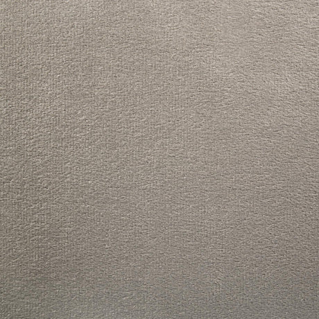 Marley Light Brown Upholstered Queen Platform Bed with Headboard Panels by Coaster at Eve Furniture