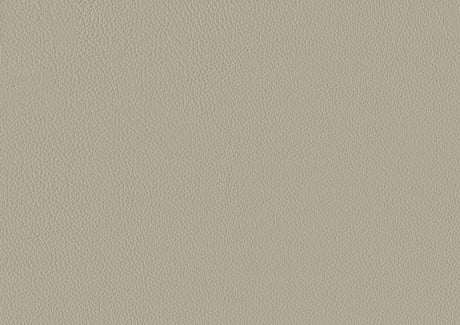 Maroni Taupe Leather Power Reclining Chair by Homelegance at Eve Furniture
