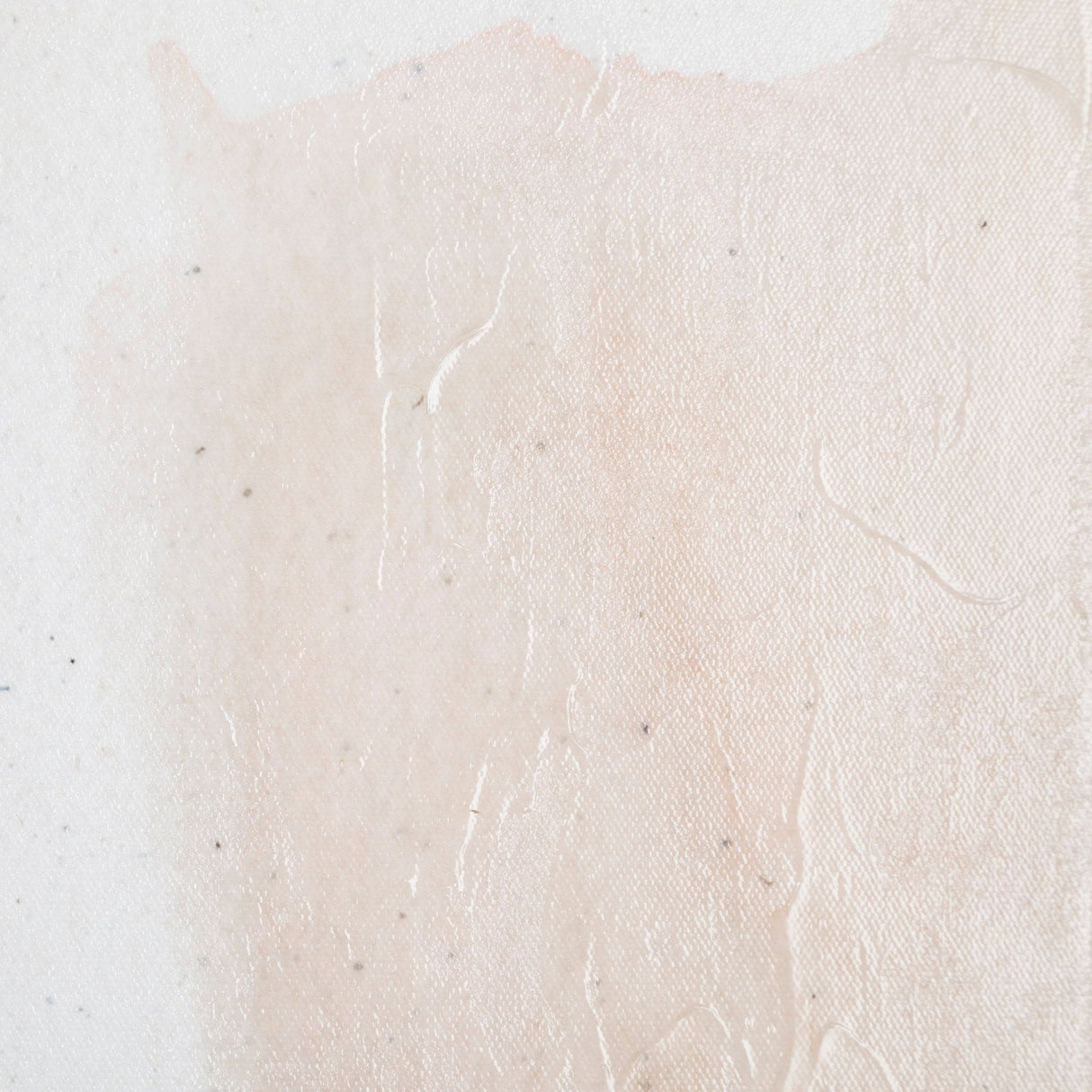 Masque I by Victoria Barnes a Hand Embellished Textured Canvas by Mercana at Eve Furniture