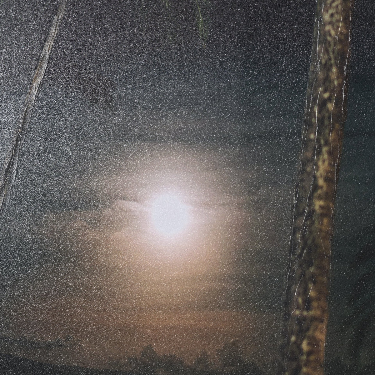 Maui Moonlight by Stefan and Audrey Hand-Embellished Textured Framed Photo Print Matted under Glass by Mercana at Eve Furniture