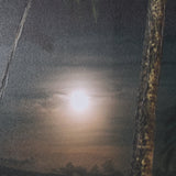 Maui Moonlight by Stefan and Audrey Hand-Embellished Textured Framed Photo Print Matted under Glass by Mercana at Eve Furniture