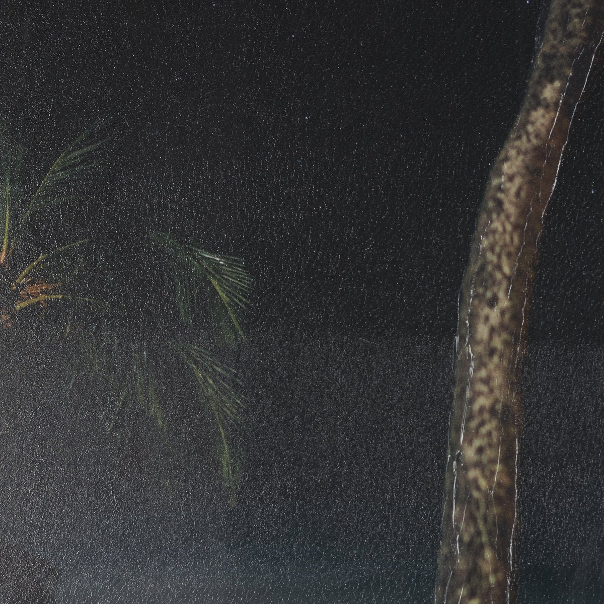 Maui Moonlight by Stefan and Audrey Hand-Embellished Textured Framed Photo Print Matted under Glass by Mercana at Eve Furniture