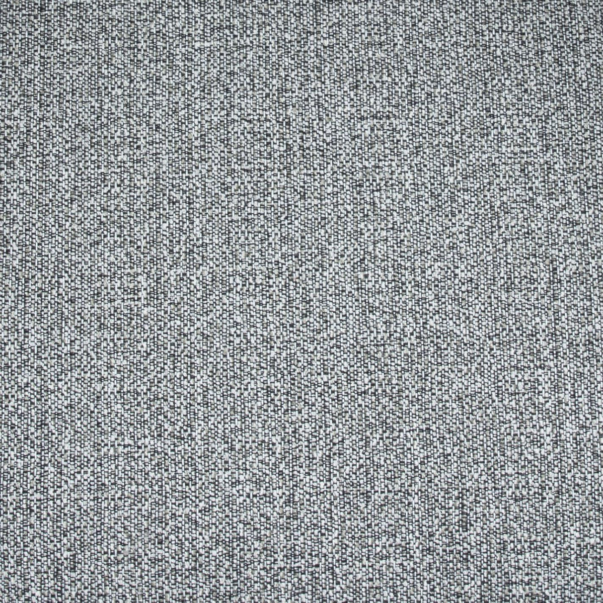 Maureen Speckled Grey Performance Boucle Dining Chair by TOV Furniture at Eve Furniture
