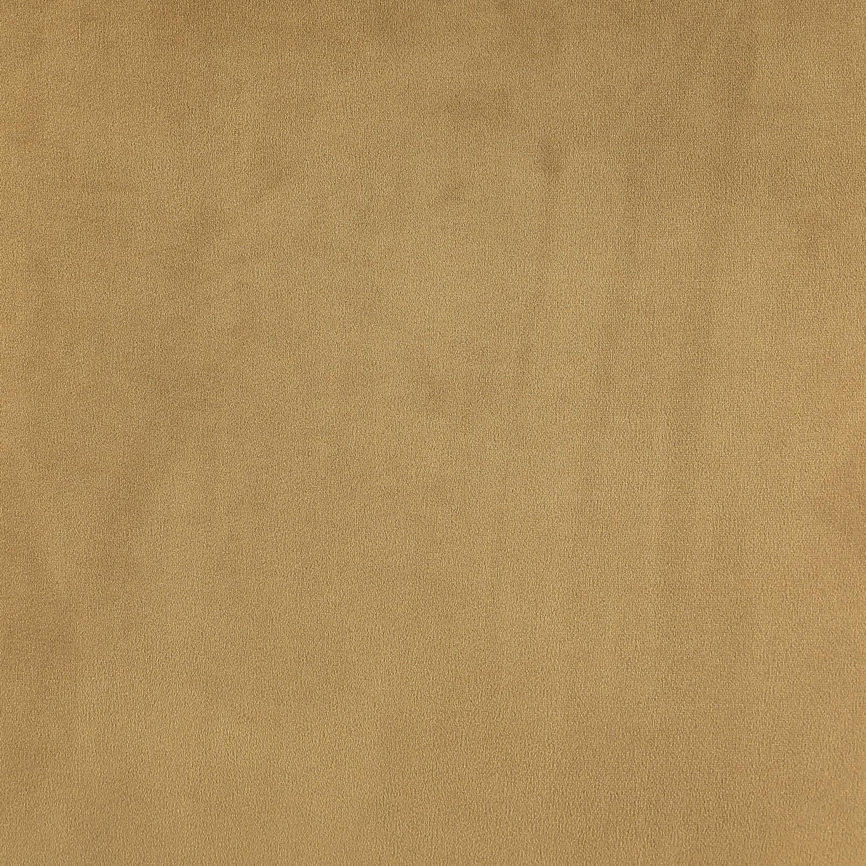 Mayette Parsons Wingback Dining Side Chairs Cognac (Set of 2) by Coaster at Eve Furniture