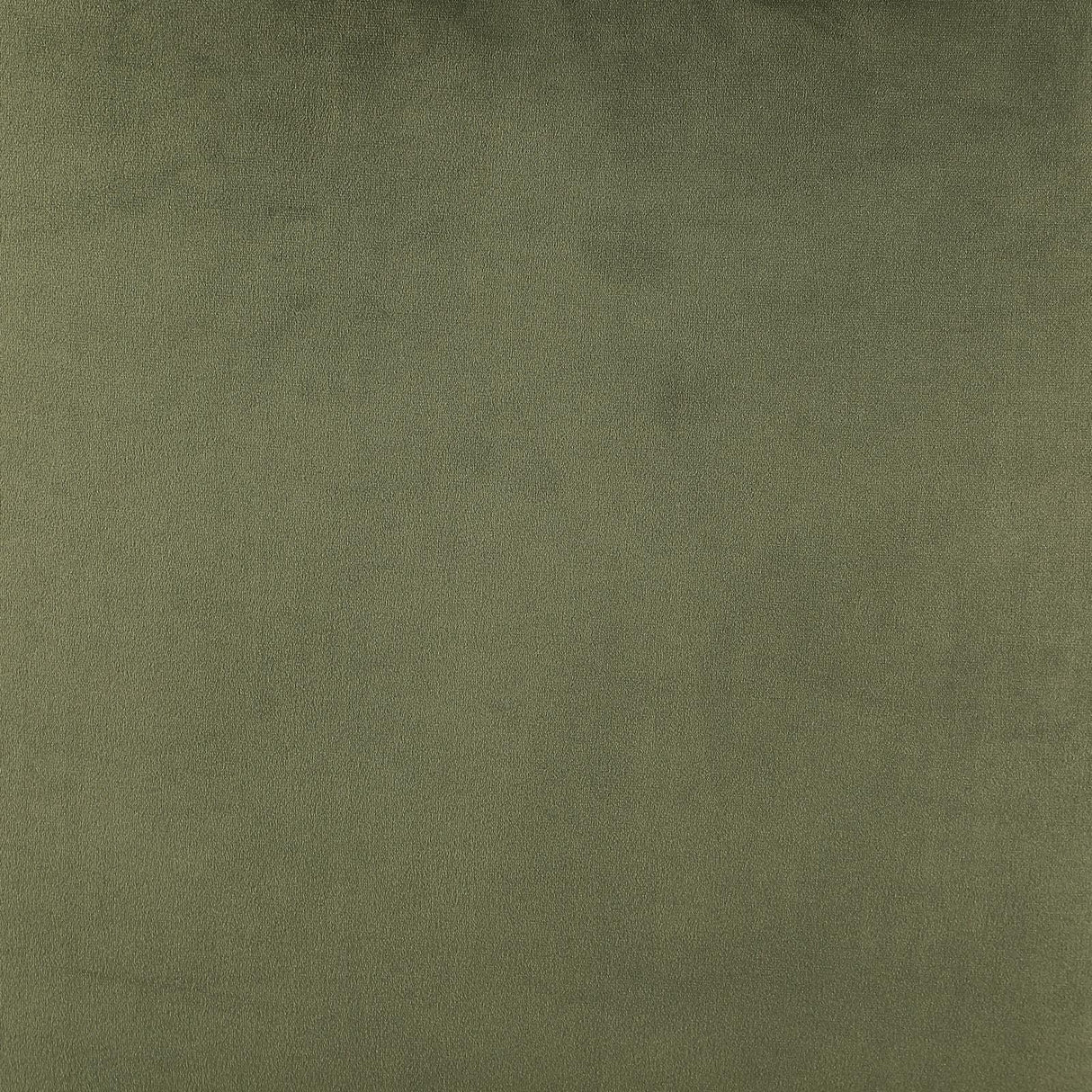 Mayette Parsons Wingback Dining Side Chairs Olive (Set of 2) by Coaster at Eve Furniture