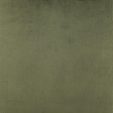 Mayette Parsons Wingback Dining Side Chairs Olive (Set of 2) by Coaster at Eve Furniture