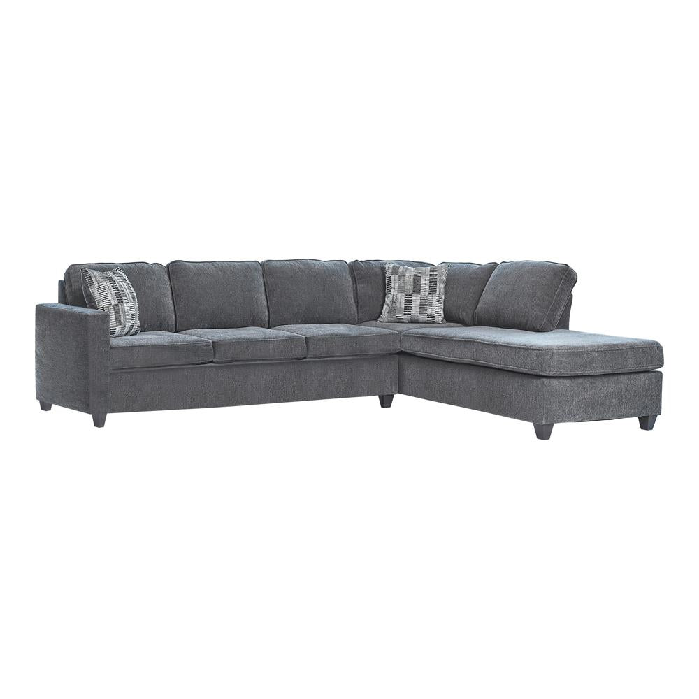 Mccord 2-Piece Cushion Back Sectional Dark Gray