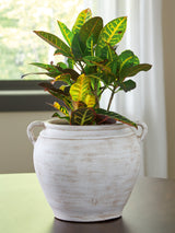 Meadie Distressed White Vase by Ashley at Eve Furniture