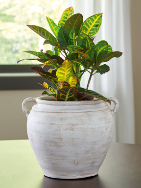 Meadie Distressed White Vase by Ashley at Eve Furniture