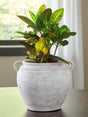 Meadie Distressed White Vase by Ashley at Eve Furniture