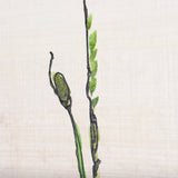 Meadow flowers by Mercana Studio a Hand Embellished Textured Canvas by Mercana at Eve Furniture