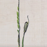 Meadow flowers III by Mercana Studio a Hand Embellished Textured Canvas by Mercana at Eve Furniture