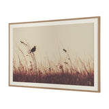 Meadowlark Call Antique by Nathan Larson FramedPhoto Matted under Glass by Mercana at Eve Furniture