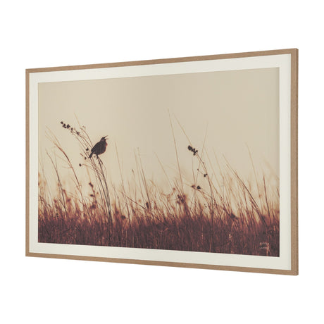 Meadowlark Call Antique by Nathan Larson FramedPhoto Matted under Glass by Mercana at Eve Furniture