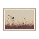 Meadowlark Call Antique by Nathan Larson FramedPhoto Matted under Glass by Mercana at Eve Furniture