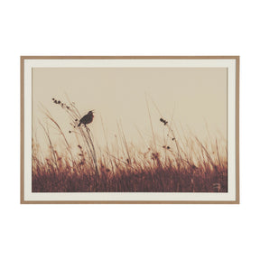 Meadowlark Call Antique by Nathan Larson FramedPhoto Matted under Glass by Mercana at Eve Furniture