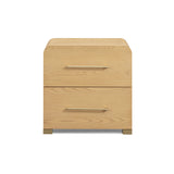Marissa 22" Ash 2-Drawer Nightstand by TOV Furniture at Eve Furniture