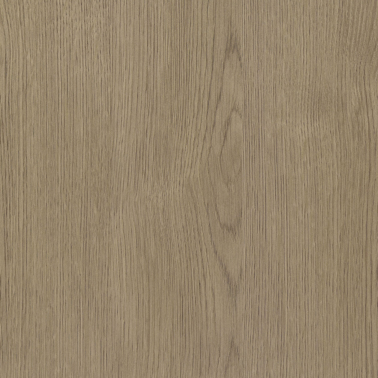 Medina Latte Tv Stand by Coaster at Eve Furniture