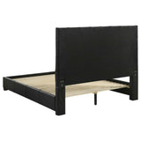 Medley Black Genuine Leather Queen Panel Platform Bed by Coaster at Eve Furniture