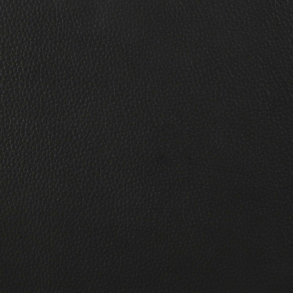 Medley Black Genuine Leather Queen Panel Platform Bed by Coaster at Eve Furniture