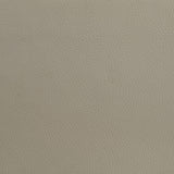 Medley Tan Genuine Leather Eastern King Platform Bed by Coaster at Eve Furniture