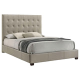 Medley Tan Genuine Leather Queen Panel Platform Bed by Coaster at Eve Furniture