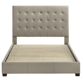Medley Tan Genuine Leather Queen Panel Platform Bed by Coaster at Eve Furniture