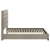 Medley Tan Genuine Leather Queen Panel Platform Bed by Coaster at Eve Furniture