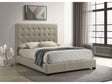 Medley Tan Genuine Leather Queen Panel Platform Bed by Coaster at Eve Furniture