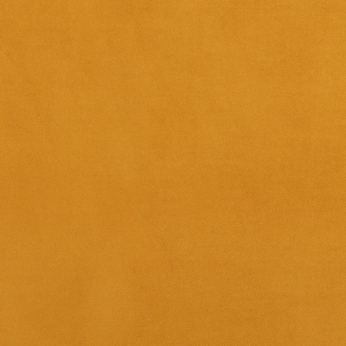 Meia Mustard Accent Chair by Zuomod at Eve Furniture