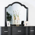 Melodi Parc Black Mirror by Furniture of America at Eve Furniture