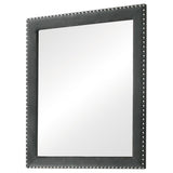 Melody Gray Rectangular Upholstered Dresser Mirror