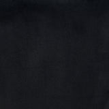 Menlo Black Dining Chair (Set of 2) by Zuomod at Eve Furniture