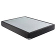 Mercer 9" Full Standard Box Spring Foundation by Coaster at Eve Furniture